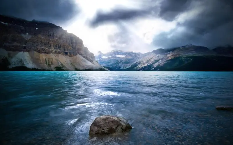 独特绿色
